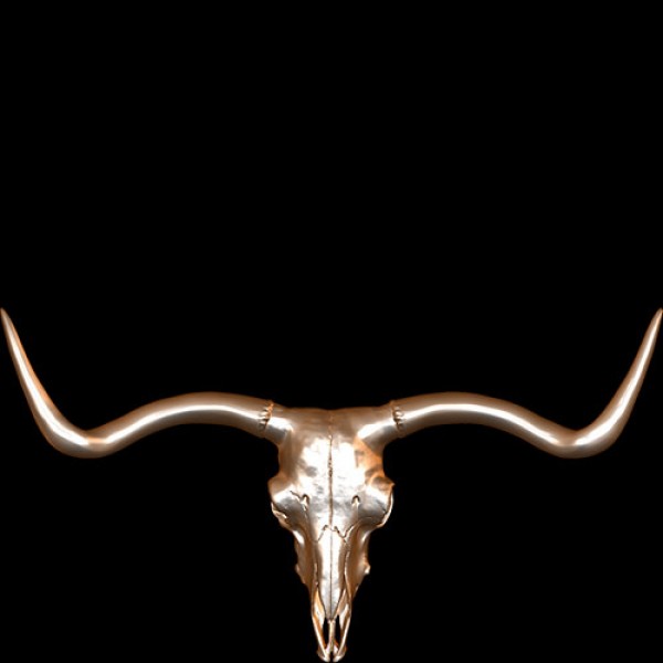 Longhorn Steer Skull